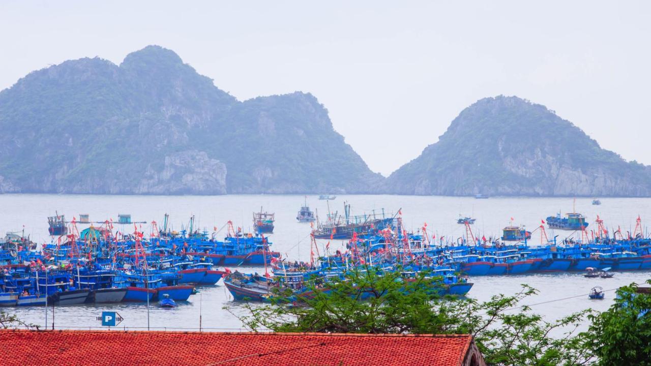 Pi's Homestay CatBa Dong Khe Sau Luaran gambar