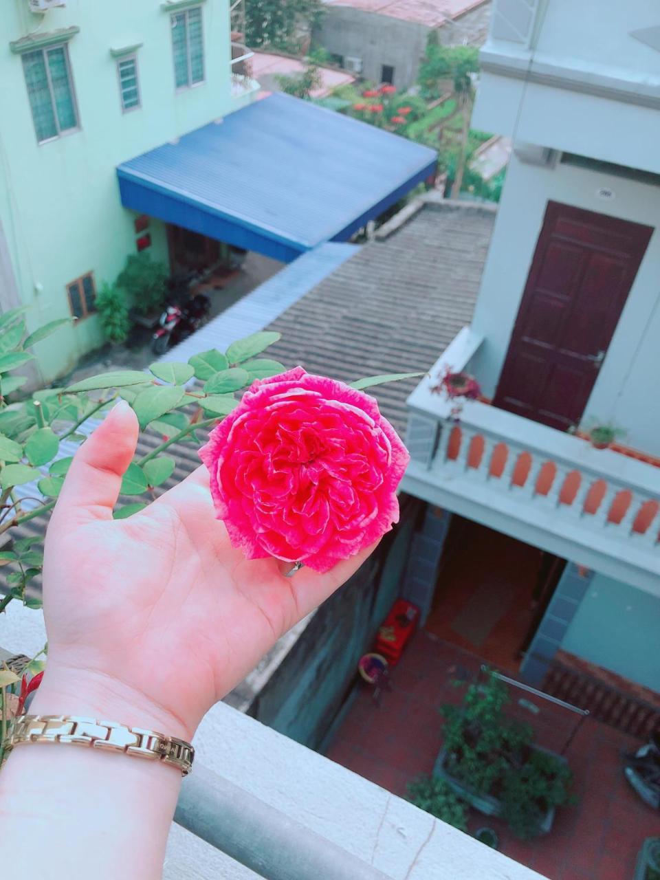 Pi's Homestay CatBa Dong Khe Sau Luaran gambar